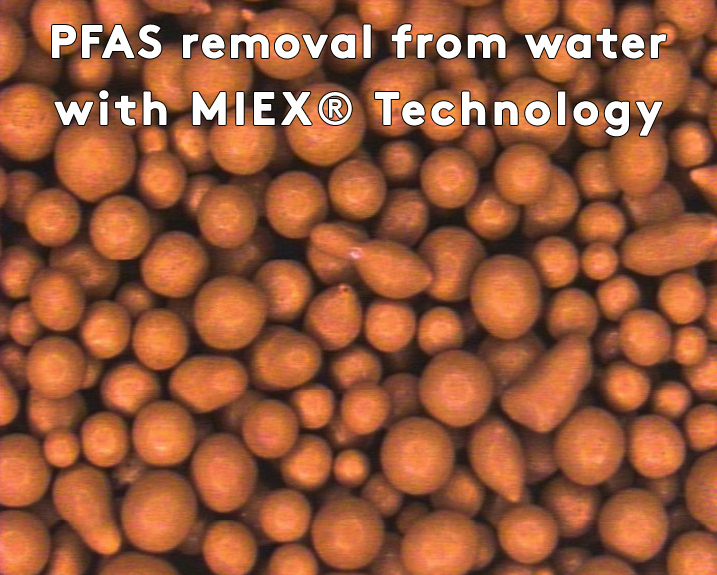 image of MIEX resin for PFAS removal