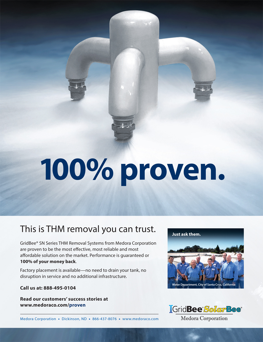 image of 100% Proven advertisement for GridBee® SN Series THM Removal Systems