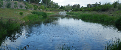 image showing the AerationPlus© Lake & Pond Circulator in a stormwater pond.