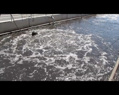 gif showing AP Series mixing in an activated sludge basin