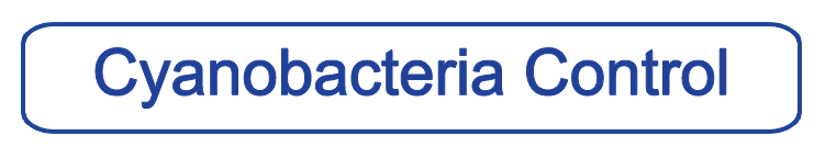Learn more about cyanobacteria control with active lake circulation! button going to Medora Corporation AerationPlus© SolarBee® cyanobacteria (blue-green algae) page