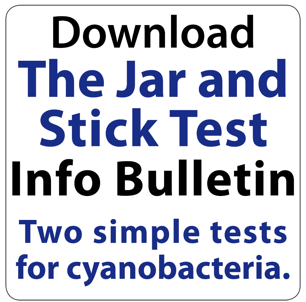 button to download informational bulletin to distinguish between cyanobacteria and good green algae