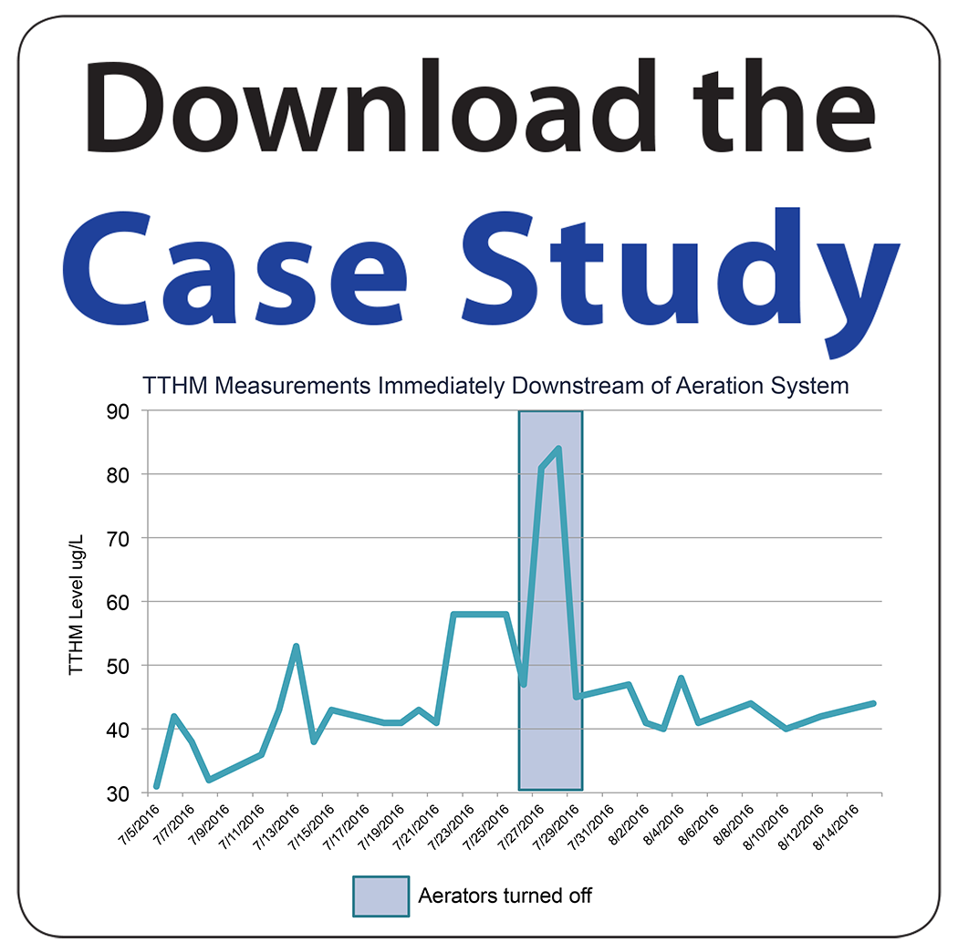 button to download THM removal case study