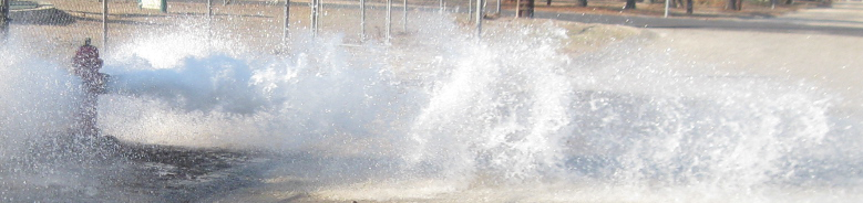 flushing water storage tanks via a fire hydrant