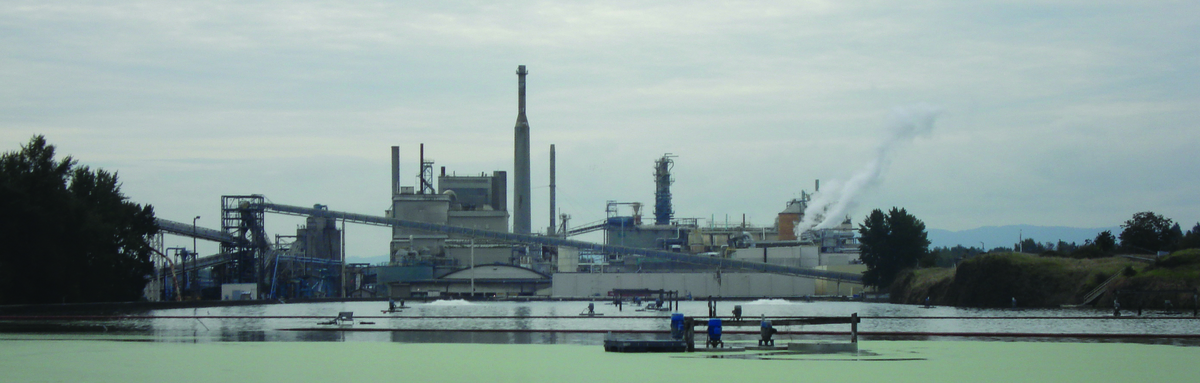 image showing SolarBee industrial wastewater application with paper mill in background